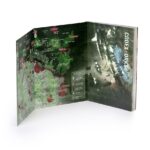 Codex: Orks image 3